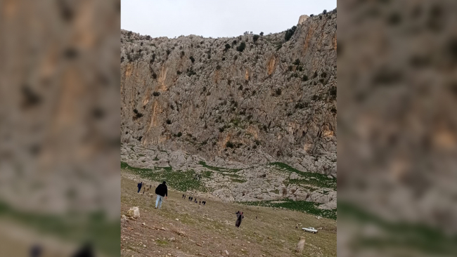 Koyunlarını kurtarmak isterken uçurumdan düştü